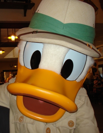 The Duck of the Hour