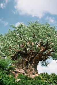 Picnic Under the Tree of Life