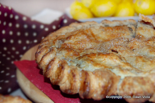 Dawn's 1st Place Apple Pie