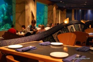 Relax with the show at the Coral Reef Aquarium