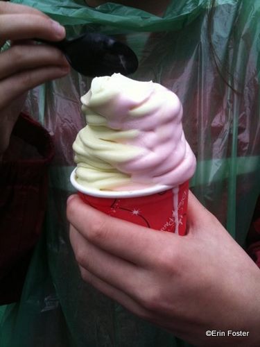 holiday dole whip holiday dole whip