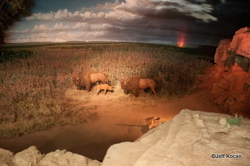 View of Living With the Land From Garden Grill Pavilion