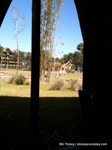 Sanaa View of Giraffe and Zebra