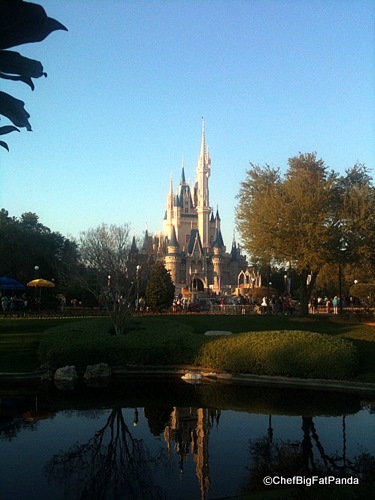 View from Outdoor Tables