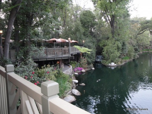 View from the Hungry Bear