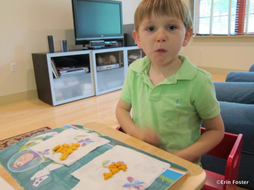 The Goldfish vs. Mickey throwdown