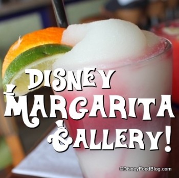 Disney Margarita Gallery
