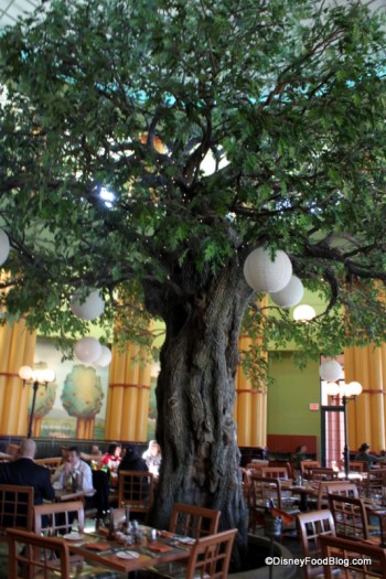 Feel Like You're Outdoors with the Comfort of Indoors!