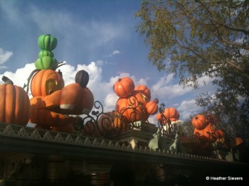 Pumpkins at Main Gate