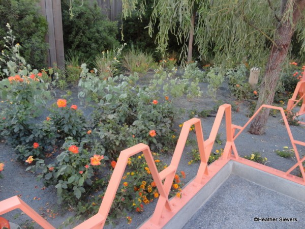 Cozy Cones Orange Rose Garden