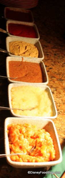 Sweet Mustard, Apple Sauce, Apricot Chutney, Curry Ketchup, Ketchup, and Mustard biergarten