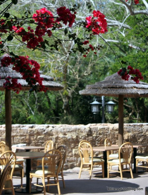 Outdoor Seating Tusker House