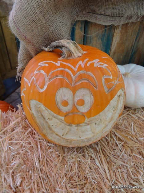 Disneyland Cheshire Cat Pumpkin