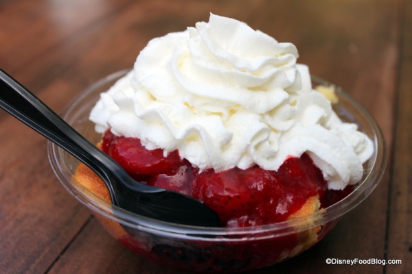 Strawberry Shortcake Camp Minnie Mickey