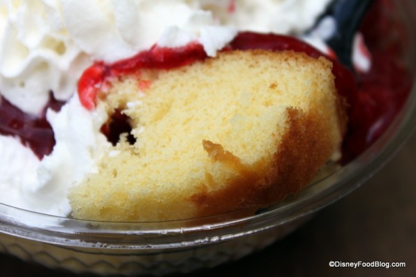 Strawberry shortcake close up Camp Minnie Mickey