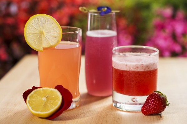 Chilled Rose Blush Lemonade (The Cottage marketplace near UK pavilion), Frozen Desert Violet Lemonade (Pineapple Promenade marketplace) and Strawberry Slush