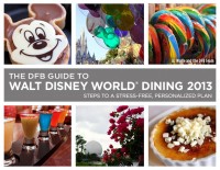 dfb_guide_2013g_white