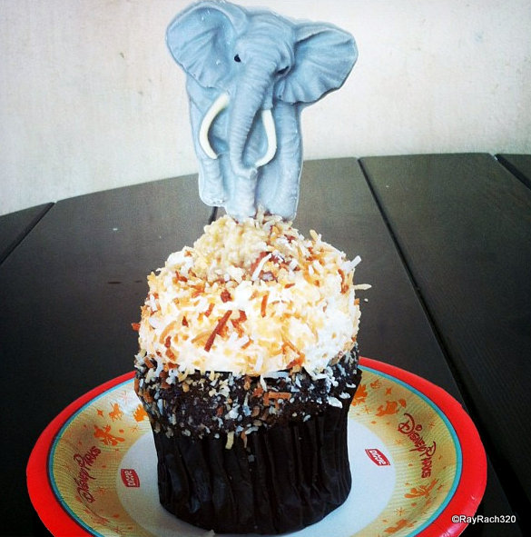 Animal Kingdom White Chocolate Elephant Cupcake