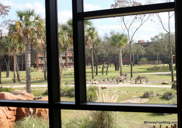 view from Kidani Village