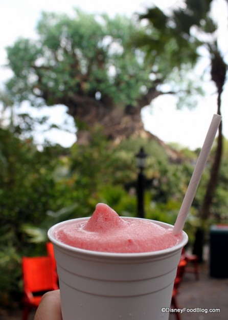 berry freeze with tree -- Upcountry