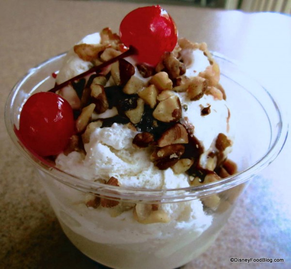 Hot Fudge Sundae Up Close