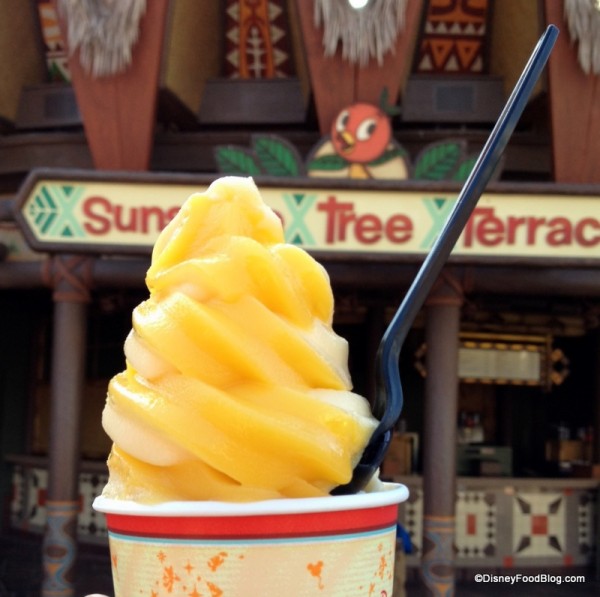 citrus swirl in front of Sunshine tree terrace