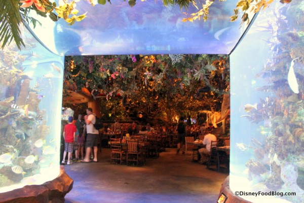 aquariums Rainforest Cafe