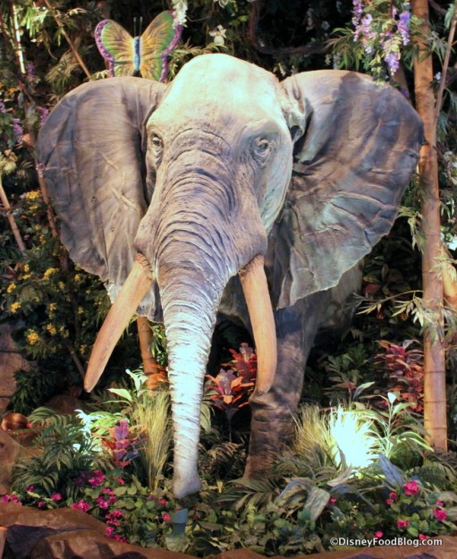 elephant Rainforest Cafe