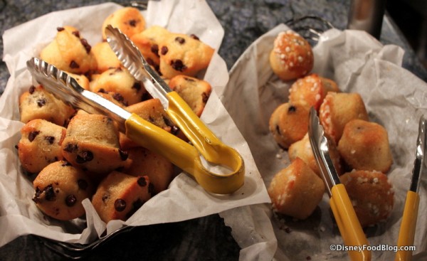 Chocolate Chip and Blueberry Muffins Boma