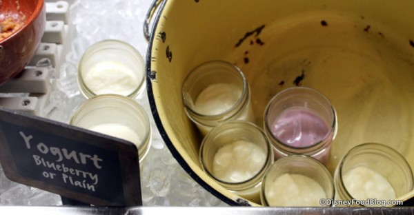 Yogurt for Parfaits Trails End