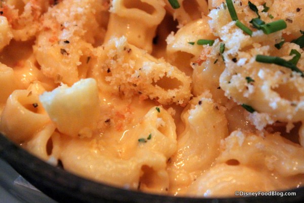 Mac and Cheese -- Up Close House of Blues Orlando