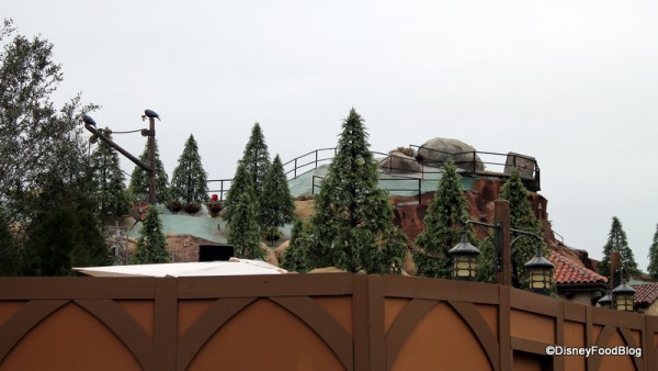Pine trees at Seven Dwarfs Mine Train