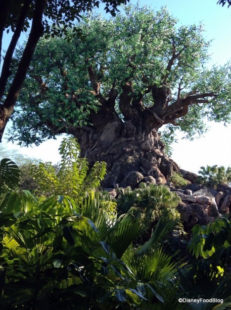 Enjoy the Tree of Life... AT NIGHT very soon!