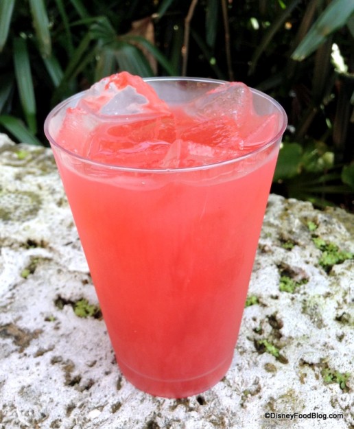 Franbuesa (raspberry) Margarita