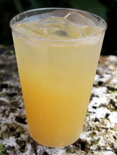 Jardin de Fiestas Mexico Flower and Garden Mexican Sangria