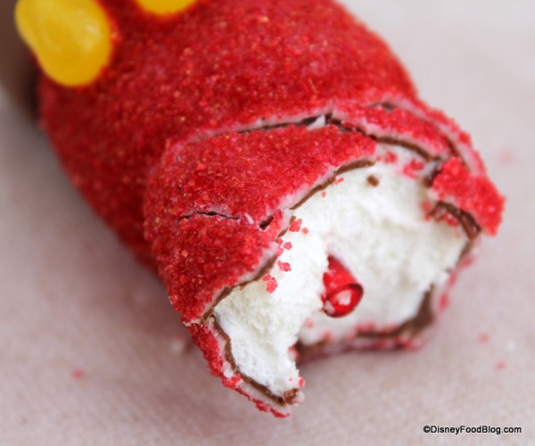 Closeup of Chocolate Shell