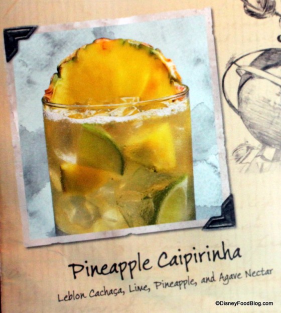 Menu Description -- Click to Enlarge