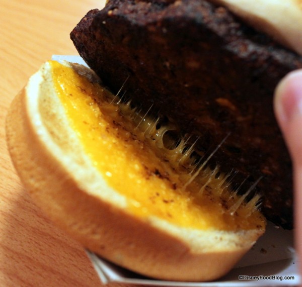 Black Bean Burger -- Under the Pattie