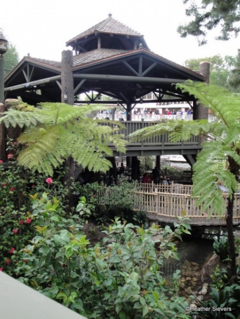 Cool Hungry Bear Seating!