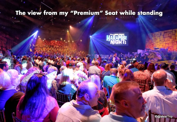 View Standing from the Back of Premium Seats