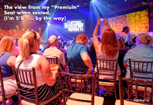 View from the Back of Premium Seats, from a Seated Position