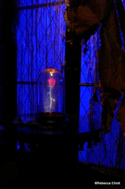 The Enchanted Rose in the West Wing Was Truly a Sight to See