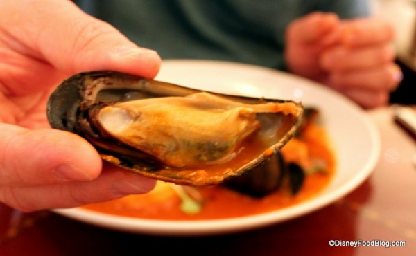Mussels in Seafood Cioppino