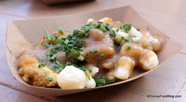 Brown Gravy and Cheese Fries