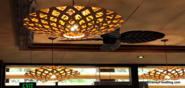 Lighting fixture and palm fan