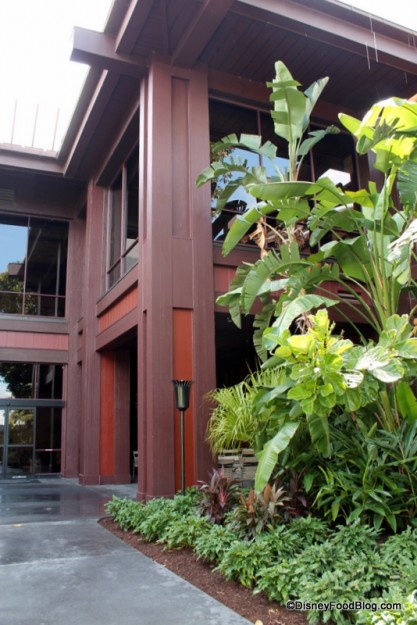 Coming from Captain Cook's