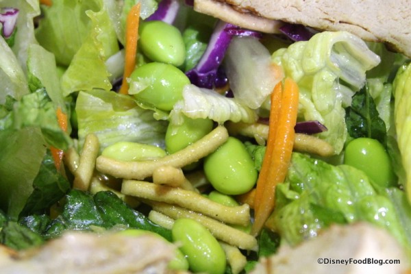 Edamame and crunchy noodles in salad