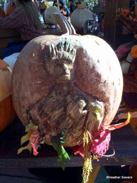 Groot Pumpkin