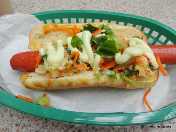 Big Hero 6 Teriyaki Street Dog