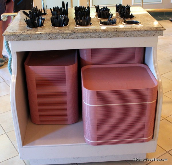 Trays and Plastic Tableware